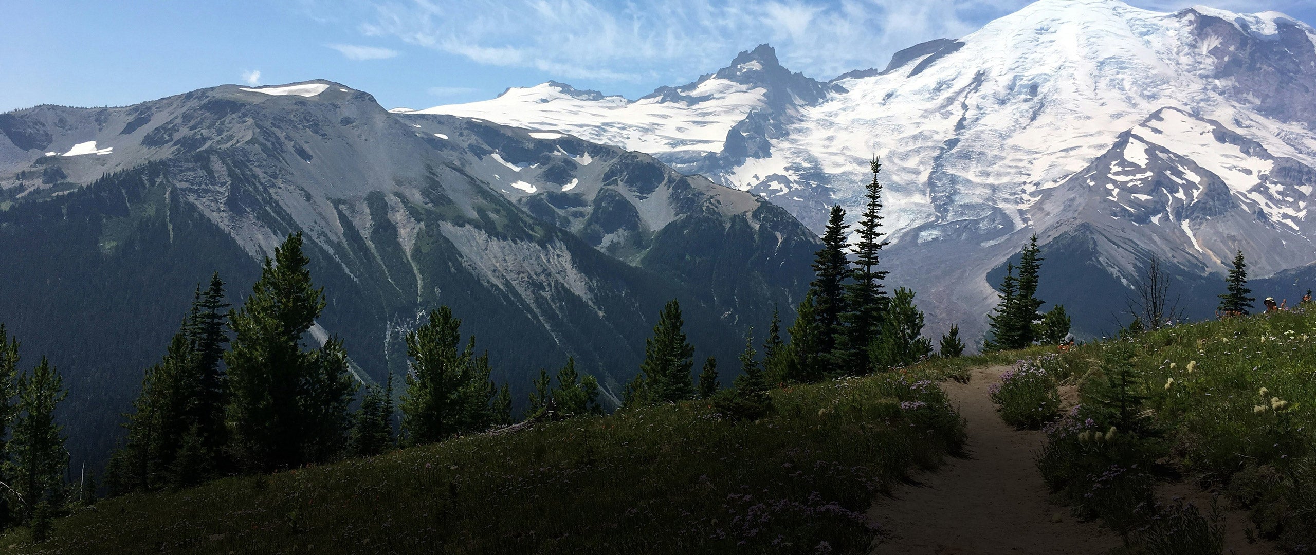 Washington State Knife Laws (2026)